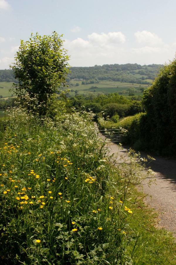 Odle Farm Villa Honiton Exterior photo
